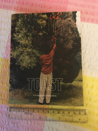 Toast clothes christmas - toast,